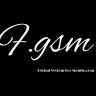 F-GSM