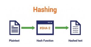 Hashing و Hash (هش و هشینگ) چیست؟