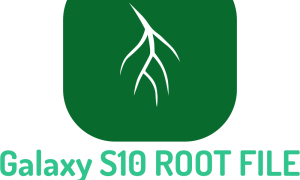 S10-Root-File