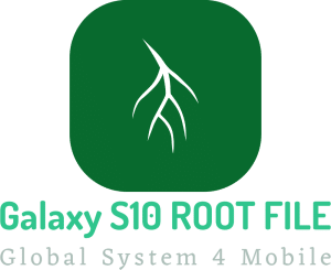 S10-Root-File