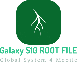S10-Root-File