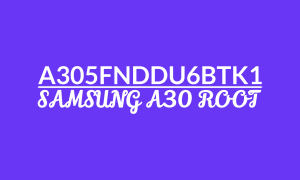 samsung-root-a30-a305fnddu6btk1