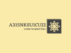 A315NKSU1CUJ2