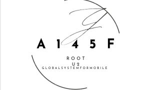 A145F-U2-ROOT