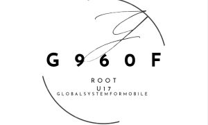 G960F-U17-OS11-DFT-ROOT