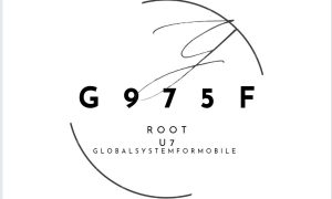 G975F-U7-OS10-DFT-ROOT