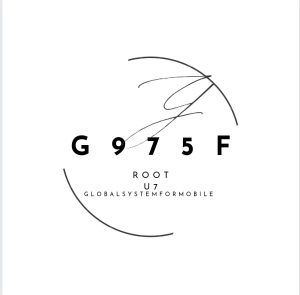 G975F-U7-OS10-DFT-ROOT