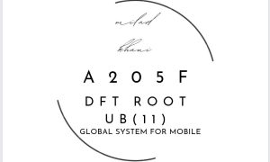 A205F-UB-dft root