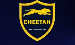 چیتا تول