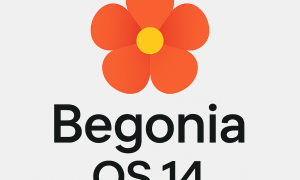 فایل کاستوم رام Redmi Note 8 Pro | begonia Os 14 android 11